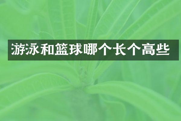 游泳和篮球哪个长个高些