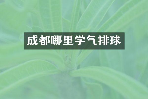 成都哪里学气排球