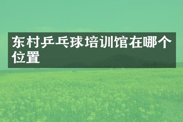 东村乒乓球培训馆在哪个位置