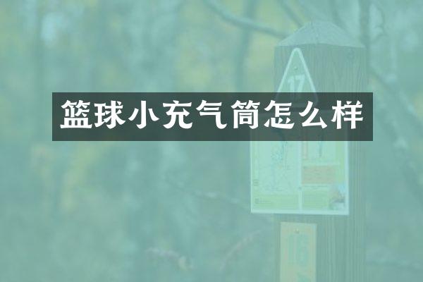 篮球小充气筒怎么样