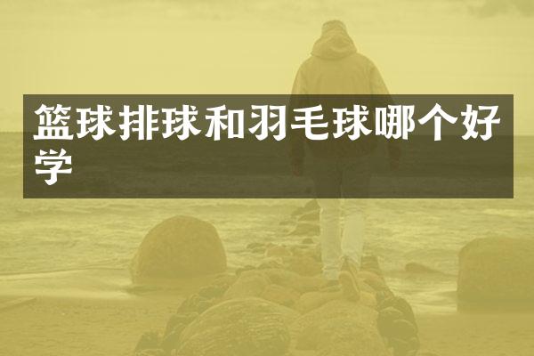 篮球排球和羽毛球哪个好学