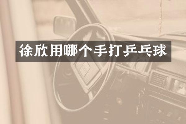 徐欣用哪个手打乒乓球