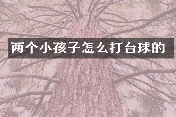 两个小孩子怎么打台球的