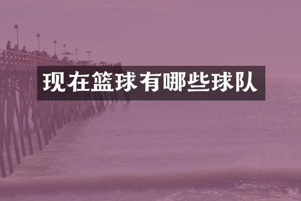 现在篮球有哪些球队