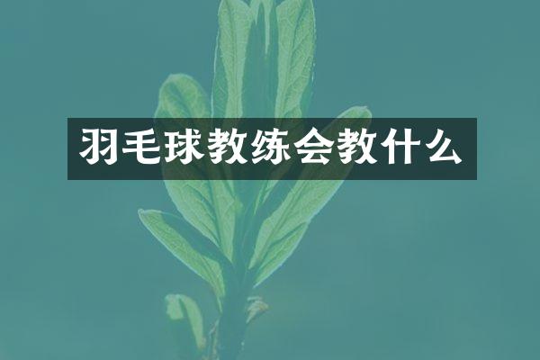 羽毛球教练会教什么