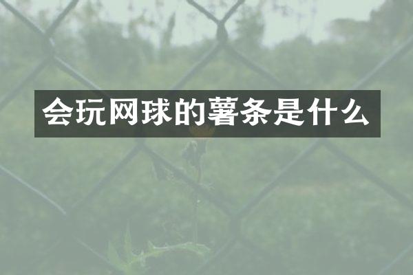 会玩网球的薯条是什么