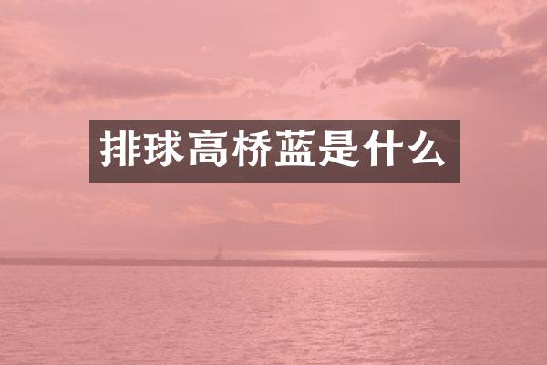排球高桥蓝是什么