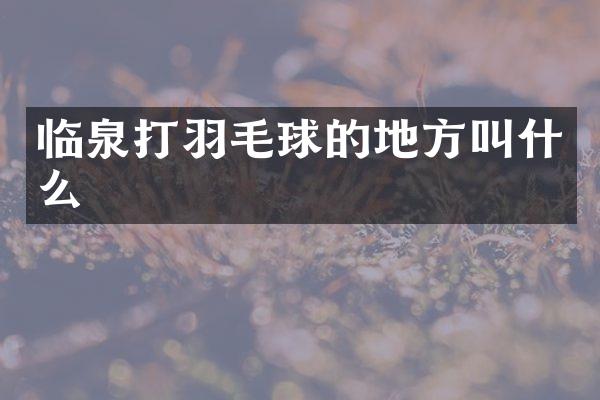 临泉打羽毛球的地方叫什么
