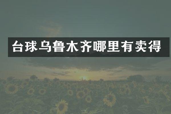 台球乌鲁木齐哪里有卖得