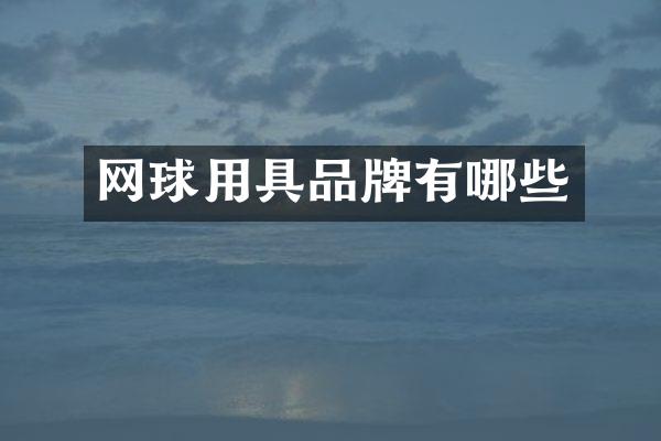 网球用具品牌有哪些