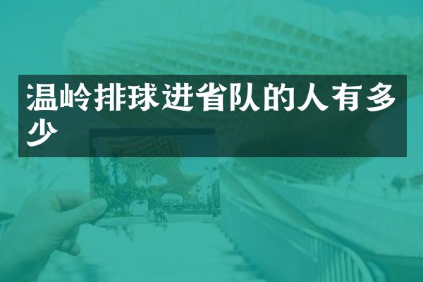 温岭排球进省队的人有多少