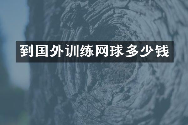 到国外训练网球多少钱