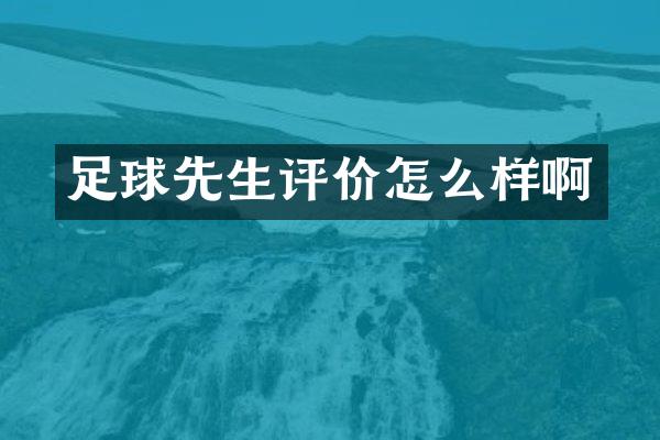 足球先生评价怎么样啊
