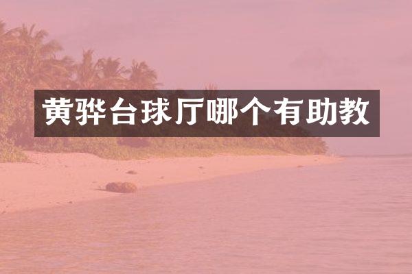 黄骅台球厅哪个有助教