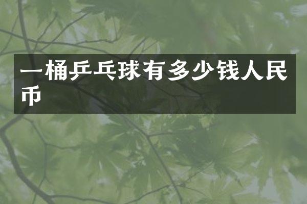 一桶乒乓球有多少钱