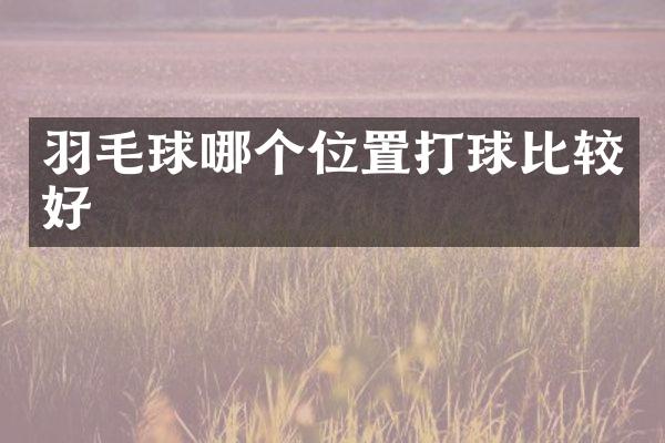 羽毛球哪个位置打球比较好