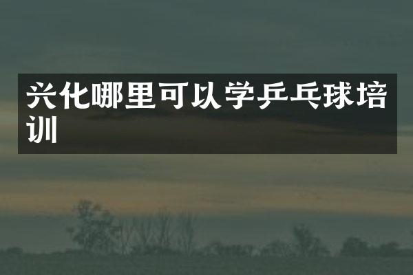 兴化哪里可以学乒乓球培训