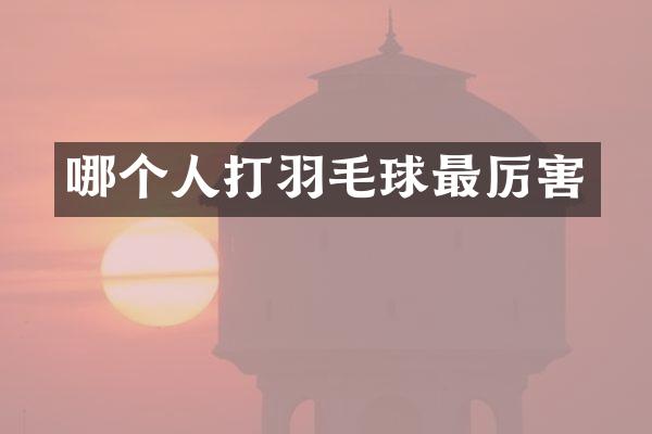 哪个人打羽毛球最厉害