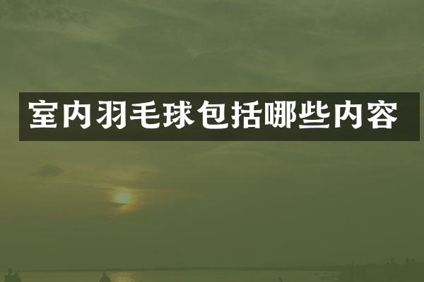 室内羽毛球包括哪些内容