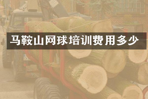 马鞍山网球培训费用多少
