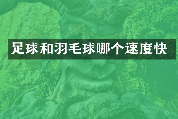 足球和羽毛球哪个速度快