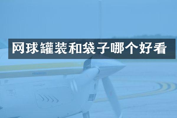 网球罐装和袋子哪个好看