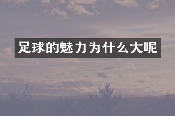 足球的魅力为什么大呢