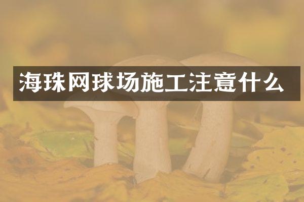 海珠网球场施工注意什么