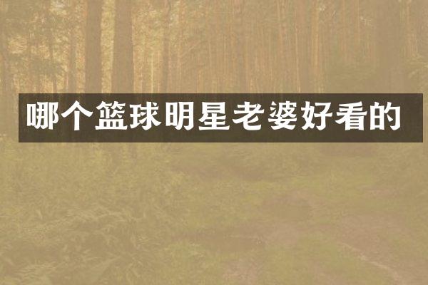 哪个篮球明星老婆好看的
