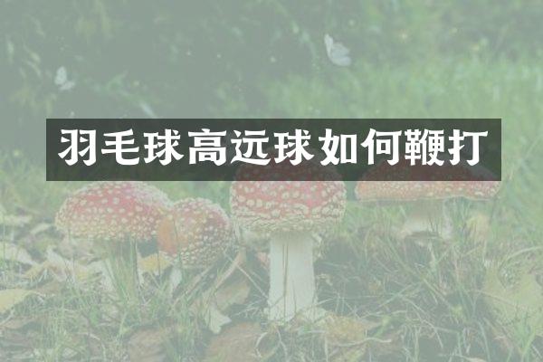 羽毛球高远球如何鞭打