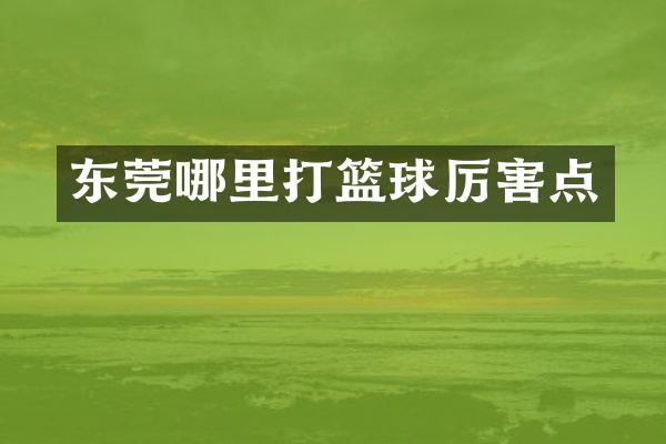 东莞哪里打篮球厉害点