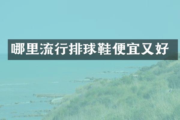 哪里流行排球鞋便宜又好