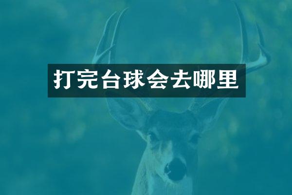 打完台球会去哪里