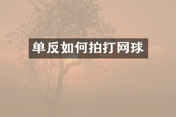 单反如何拍打网球