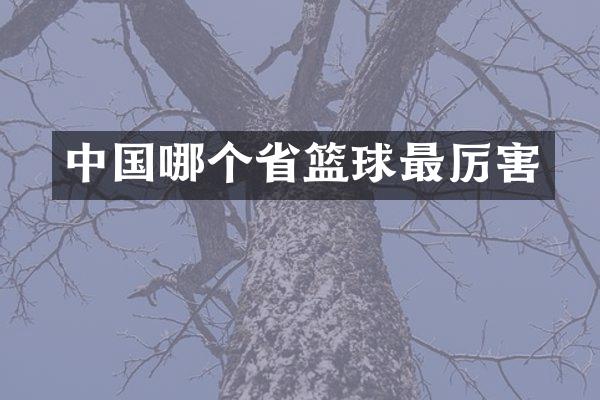 中国哪个省篮球最厉害