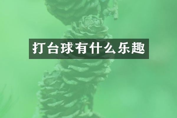 打台球有什么乐趣
