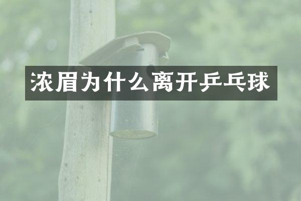 浓眉为什么离开乒乓球