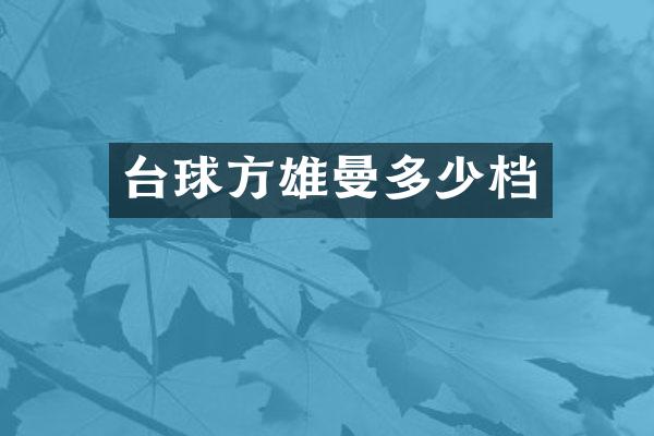 台球方雄曼多少档