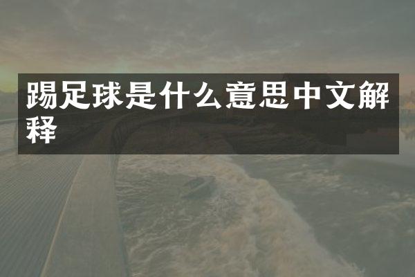 踢足球是什么意思中文解释