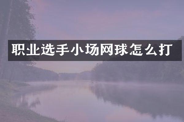 职业选手小场网球怎么打