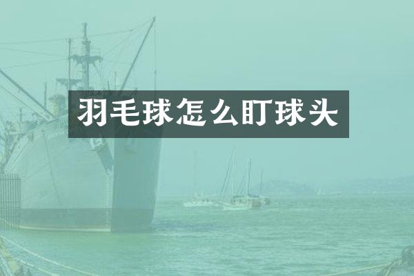 羽毛球怎么盯球头
