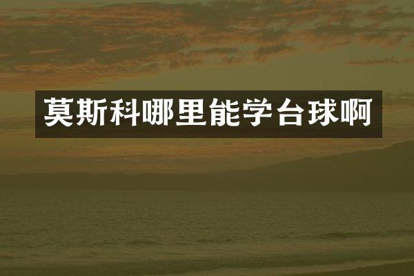 莫斯科哪里能学台球啊