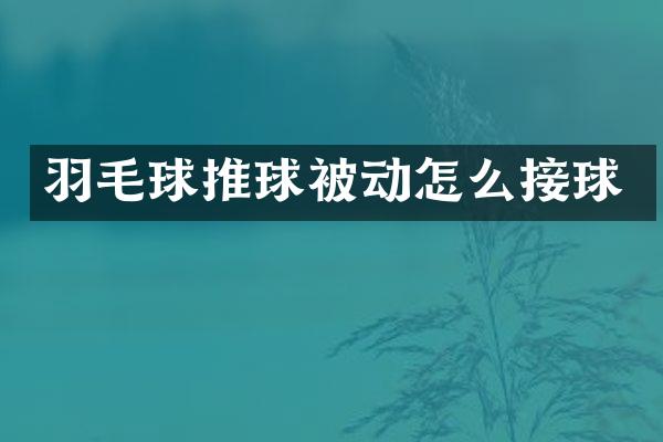 羽毛球推球被动怎么接球