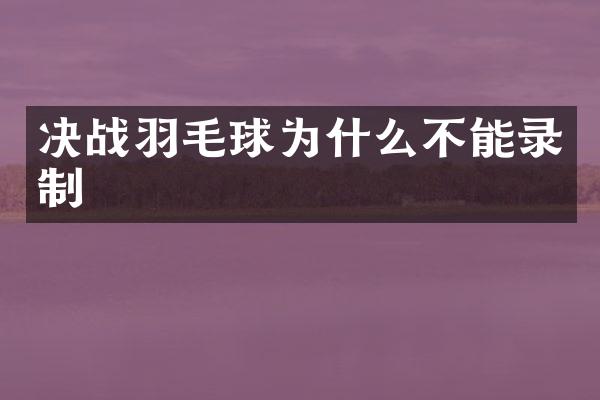 决战羽毛球为什么不能录制