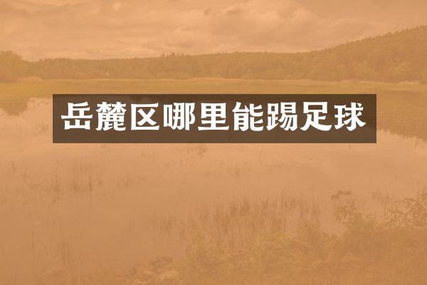 岳麓区哪里能踢足球