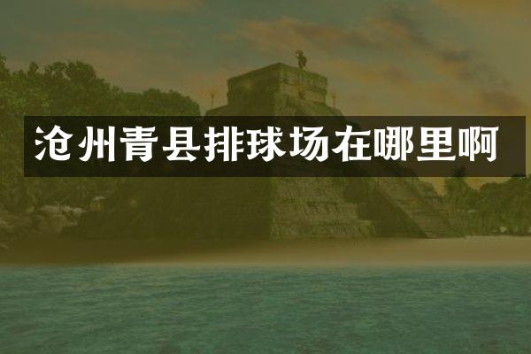 沧州青县排球场在哪里啊
