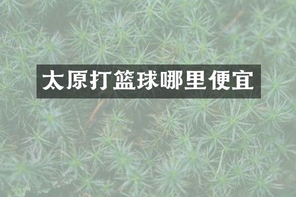 太原打篮球哪里便宜