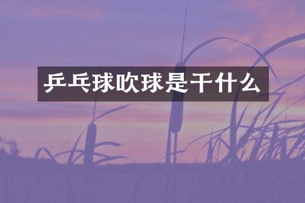乒乓球吹球是干什么