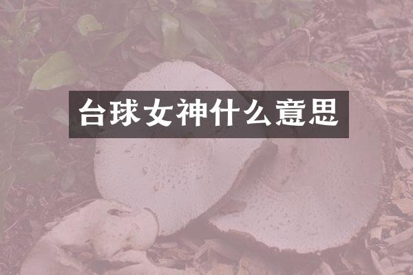 台球女神什么意思