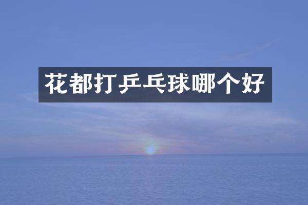 花都打乒乓球哪个好